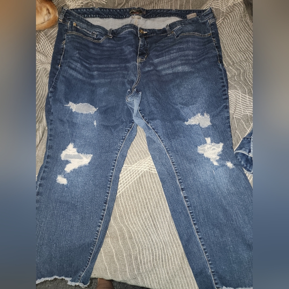 Torrid boyfriend crop distressed 26W